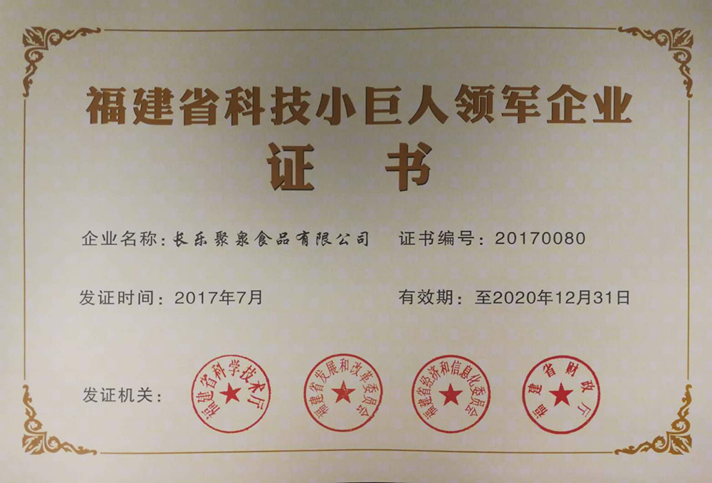 福建省科技小巨人領(lǐng)軍企業(yè)